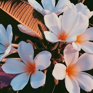 Meet your Posher, Evalyn